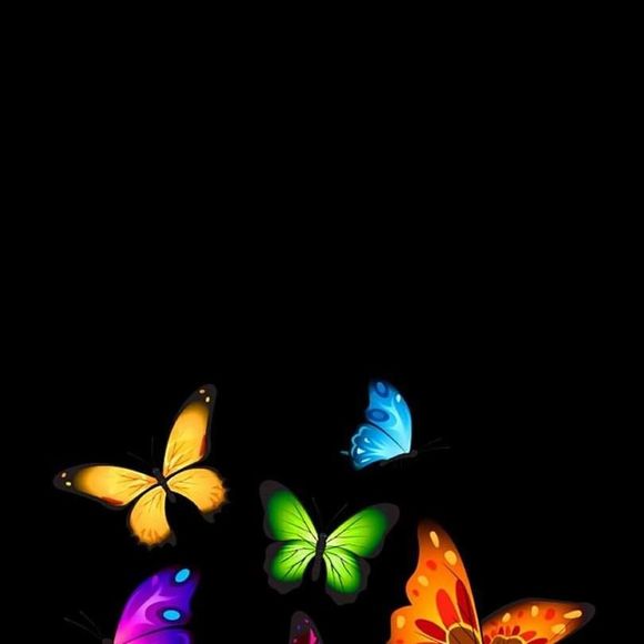 Meet your Posher, Crystal - Picture 1 of 1